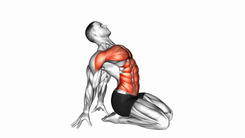 Seated Leaning Back Stretch
